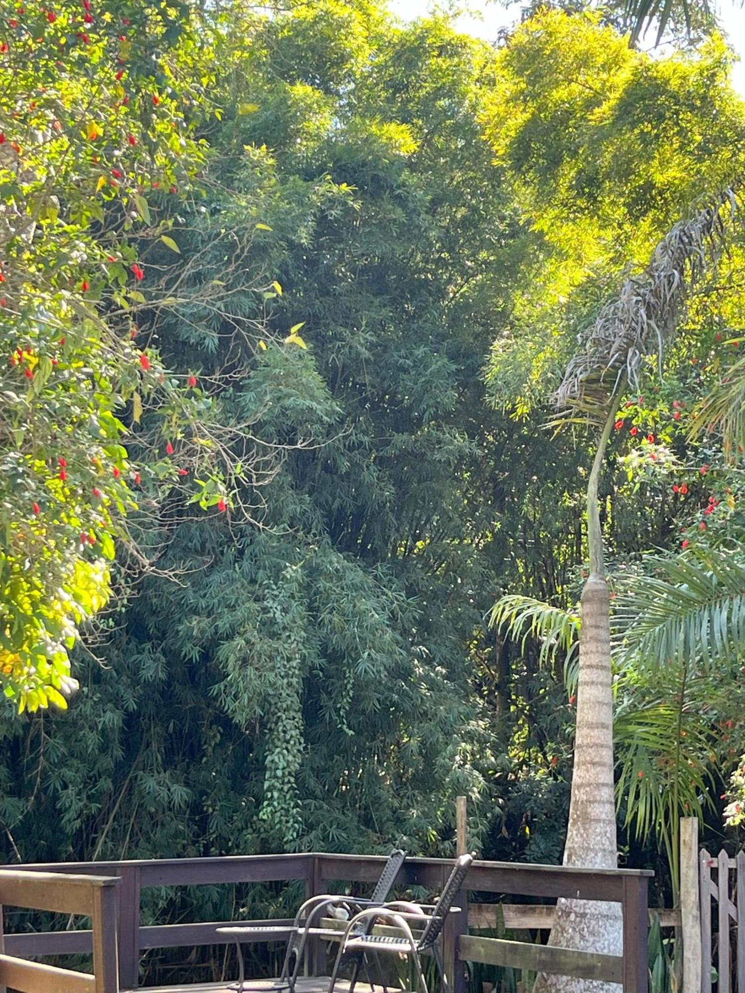 Casa Di Maria 4 Quartos A 500M Centro - Sauna, Piscina, Fogao A Lenha, Churrasqueira - Acesso Privativo Ao Ao Rio - Ideal Para Familias Нова-Фрибургу Экстерьер фото